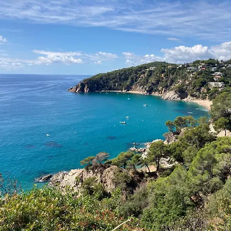 Bertur Cala Llevado