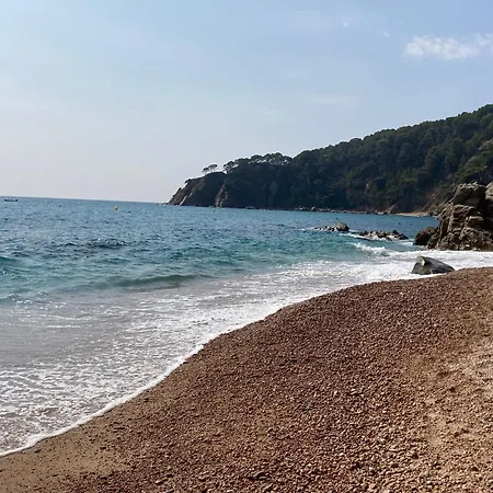 Apartament Bertur Cala Llevado