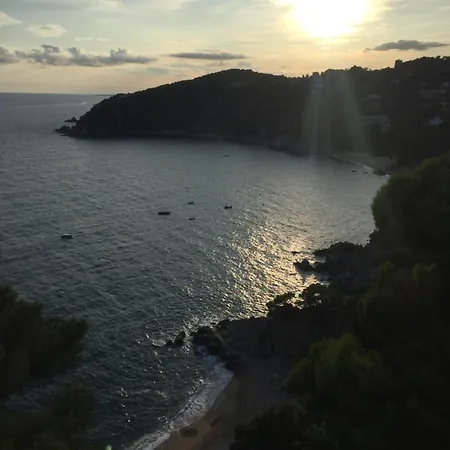 Apartment Bertur Cala Llevado *